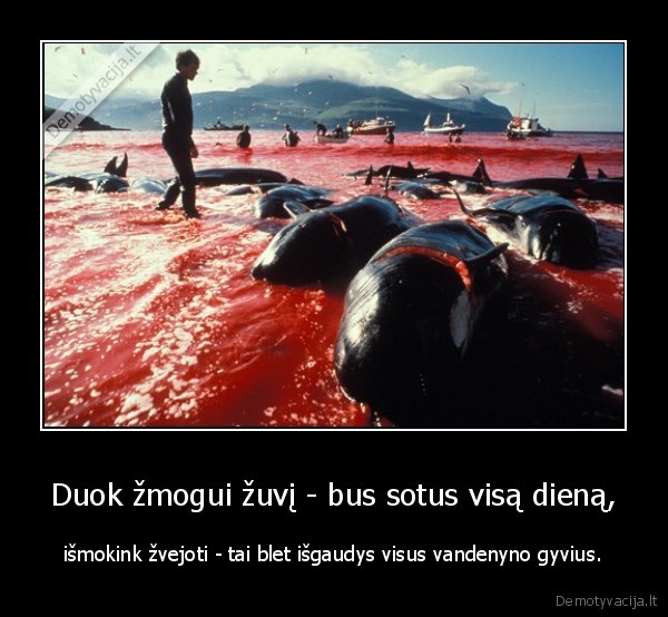 Duok žmogui žuvį - bus sotus visą dieną, - išmokink žvejoti - tai blet išgaudys visus vandenyno gyvius.