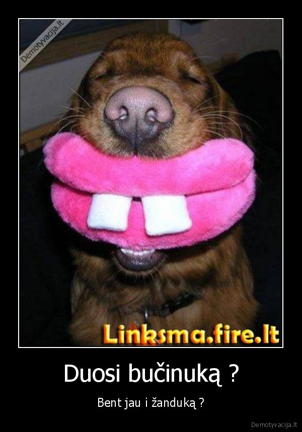 Duosi bučinuką ? - Bent jau i žanduką ?