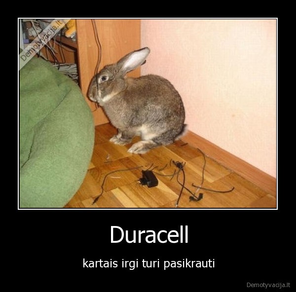 Duracell - kartais irgi turi pasikrauti