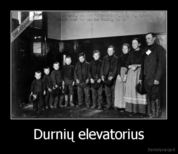 Durnių elevatorius - 