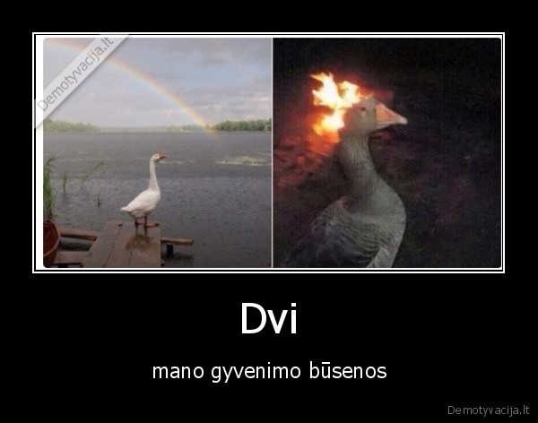 Dvi - mano gyvenimo būsenos