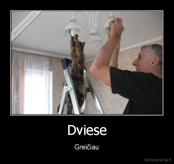 Dviese - Greičiau