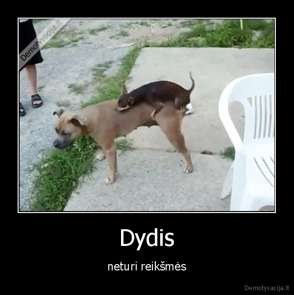 Dydis - neturi reikšmės