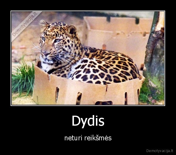 Dydis - neturi reikšmės