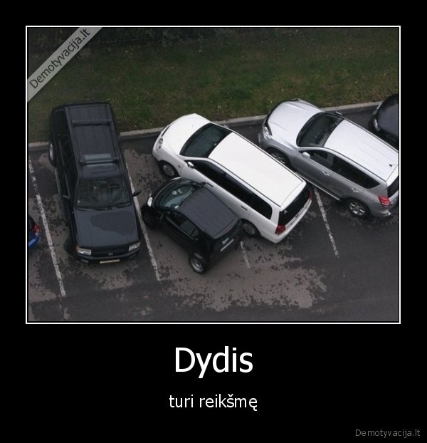 Dydis - turi reikšmę