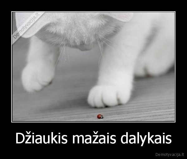 Džiaukis mažais dalykais - 
