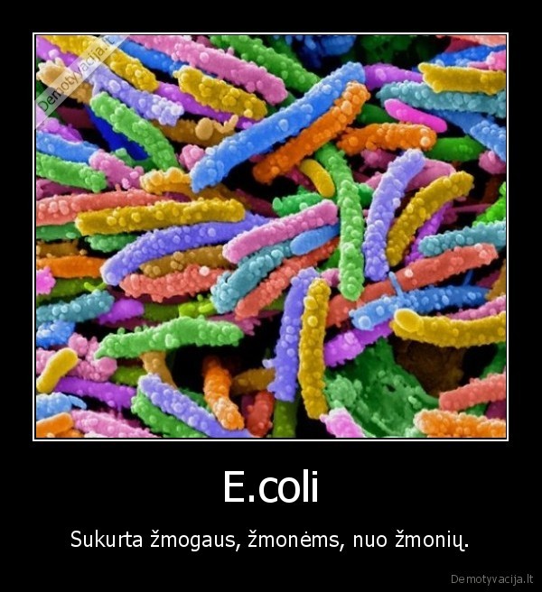 E.coli - Sukurta žmogaus, žmonėms, nuo žmonių.