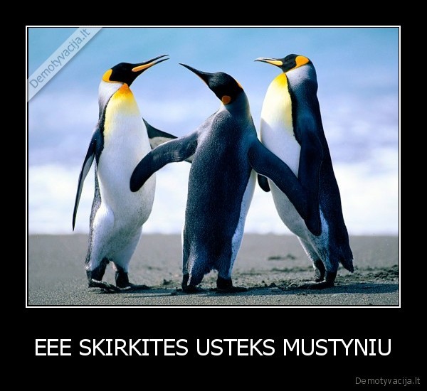 EEE SKIRKITES USTEKS MUSTYNIU - 