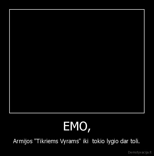 EMO, - Armijos "Tikriems Vyrams" iki  tokio lygio dar toli.