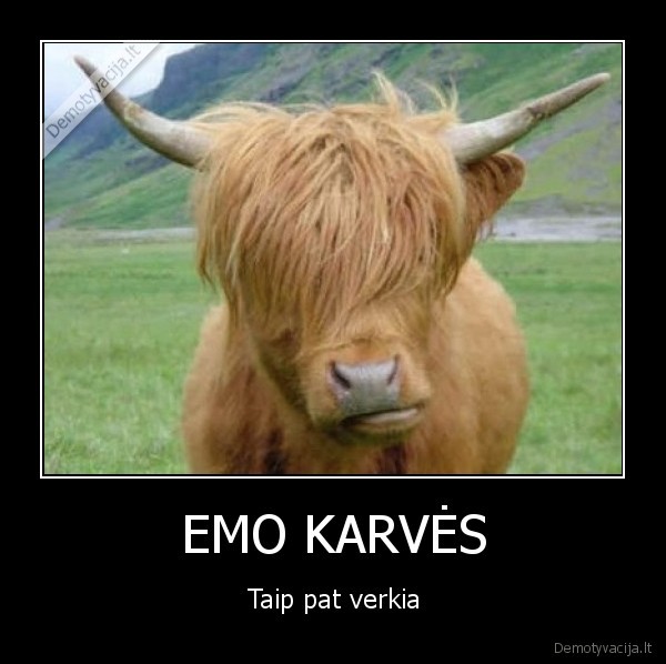 EMO KARVĖS - Taip pat verkia