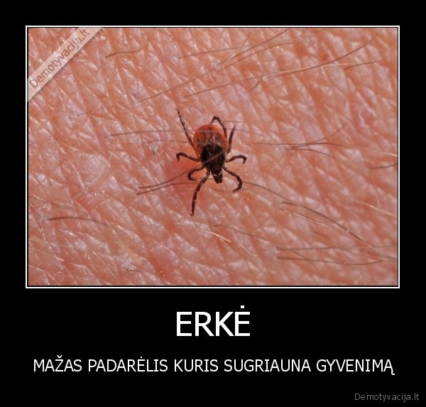 ERKĖ - MAŽAS PADARĖLIS KURIS SUGRIAUNA GYVENIMĄ