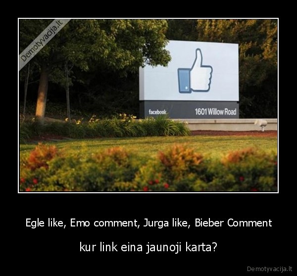 Egle like, Emo comment, Jurga like, Bieber Comment - kur link eina jaunoji karta?