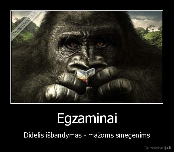 Egzaminai - Didelis išbandymas - mažoms smegenims