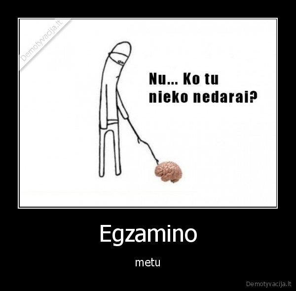 Egzamino - metu