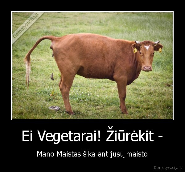 Ei Vegetarai! Žiūrėkit - - Mano Maistas šika ant jusų maisto