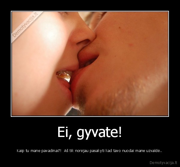 Ei, gyvate! - Kaip tu mane pavadinai?!  Aš tik norėjau pasakyti kad tavo nuodai mane uzvaldė..