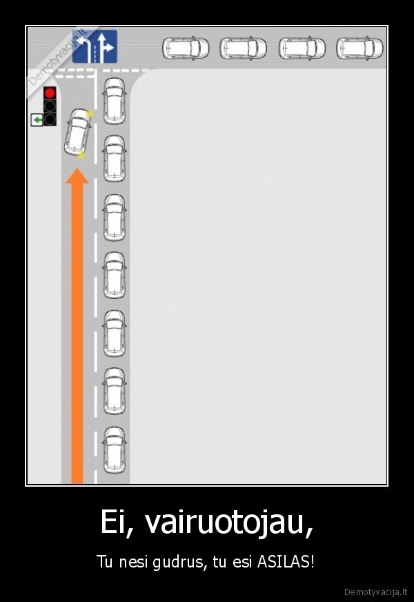 Ei, vairuotojau, - Tu nesi gudrus, tu esi ASILAS!