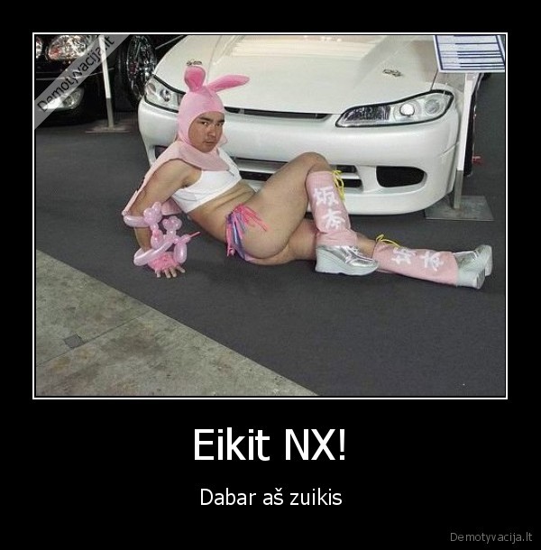 Eikit NX! - Dabar aš zuikis