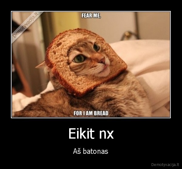 Eikit nx - Aš batonas