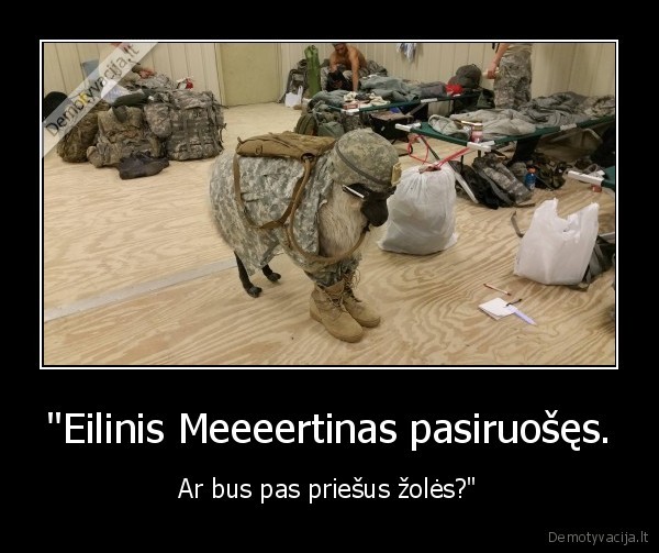 "Eilinis Meeeertinas pasiruošęs. - Ar bus pas priešus žolės?"