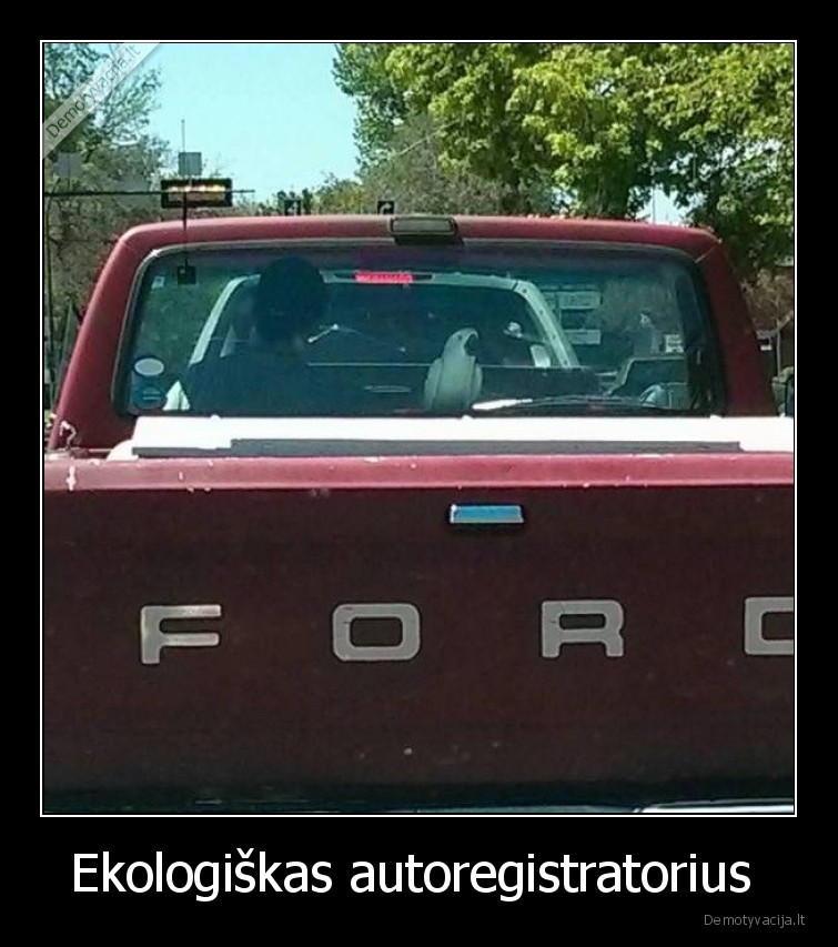 Ekologiškas autoregistratorius  - 