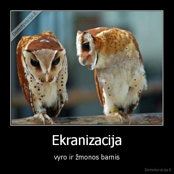 Ekranizacija - vyro ir žmonos barnis