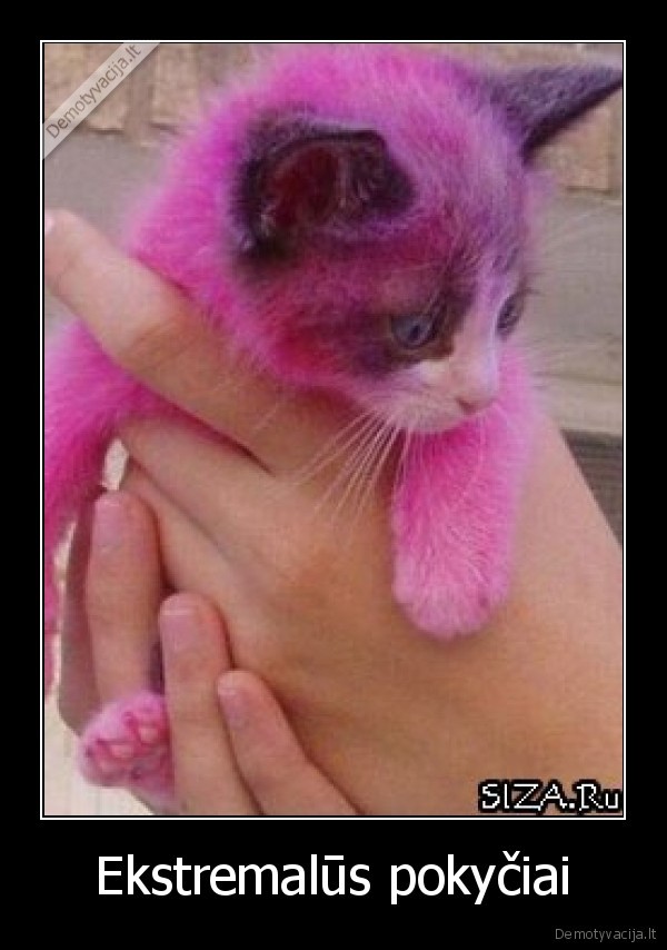 Ekstremalūs pokyčiai - 