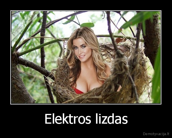 Elektros lizdas - 