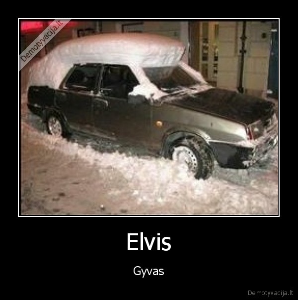 Elvis - Gyvas