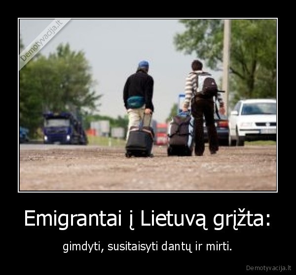 Emigrantai į Lietuvą grįžta: - gimdyti, susitaisyti dantų ir mirti.