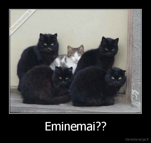 Eminemai?? - 