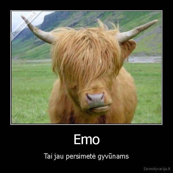 Emo - Tai jau persimetė gyvūnams