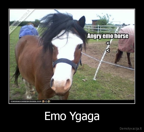 Emo Ygaga - 