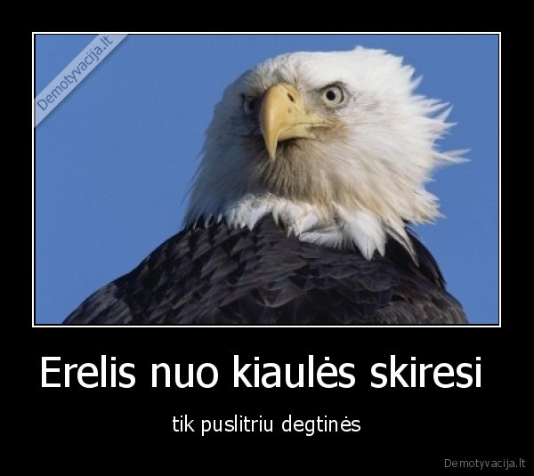 Erelis nuo kiaulės skiresi  - tik puslitriu degtinės
