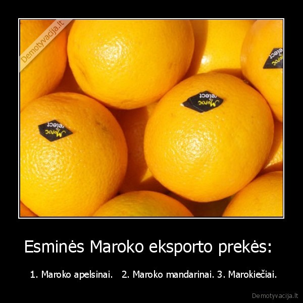 Esminės Maroko eksporto prekės:  -    1. Maroko apelsinai.   2. Maroko mandarinai. 3. Marokiečiai. 