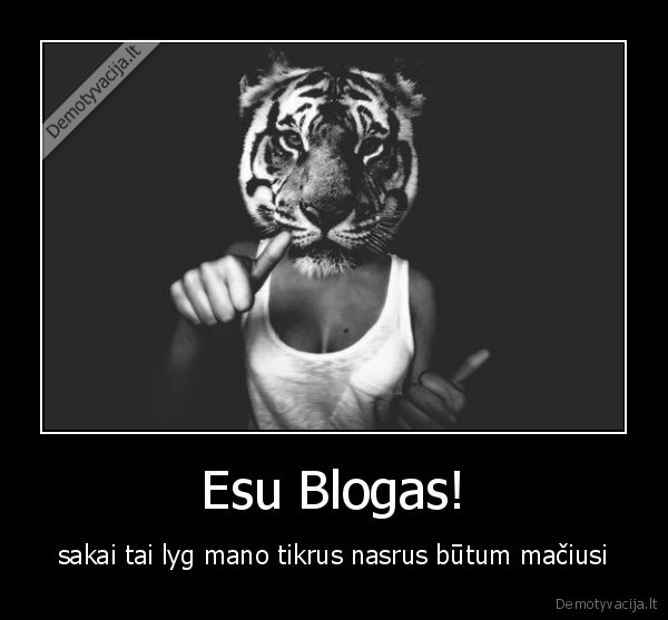 Esu Blogas! - sakai tai lyg mano tikrus nasrus būtum mačiusi