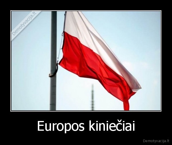 Europos kiniečiai - 