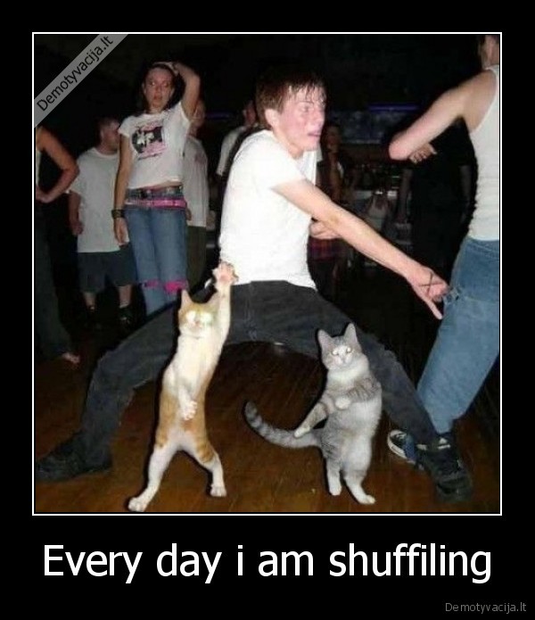 Every day i am shuffiling - 