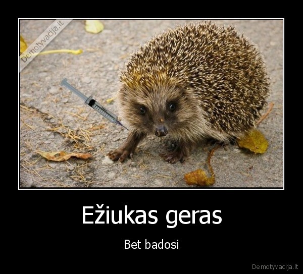 Ežiukas geras - Bet badosi