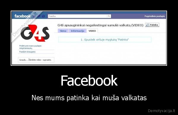 Facebook - Nes mums patinka kai muša valkatas