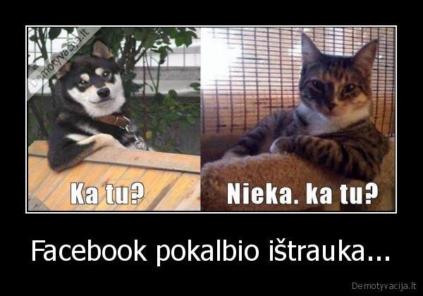 Facebook pokalbio ištrauka... - 