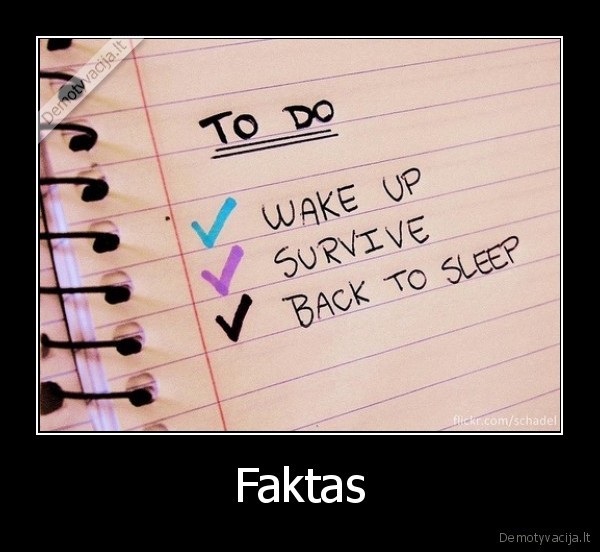 Faktas - 