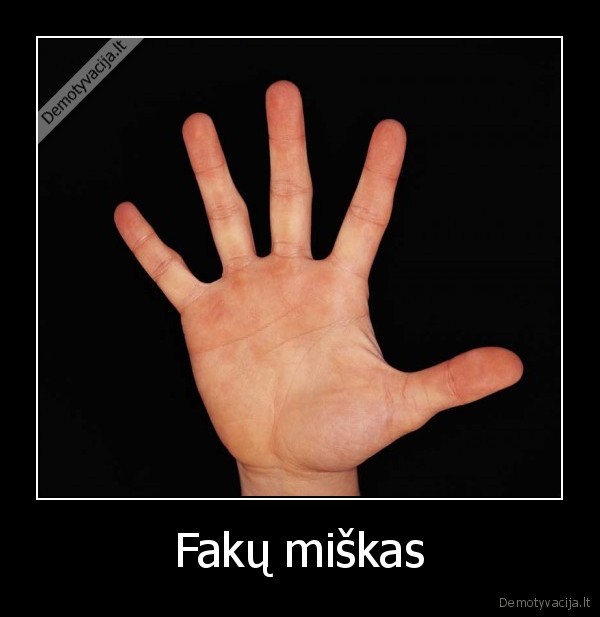 Fakų miškas - 