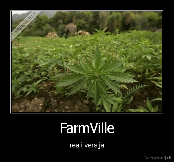 FarmVille - reali versija