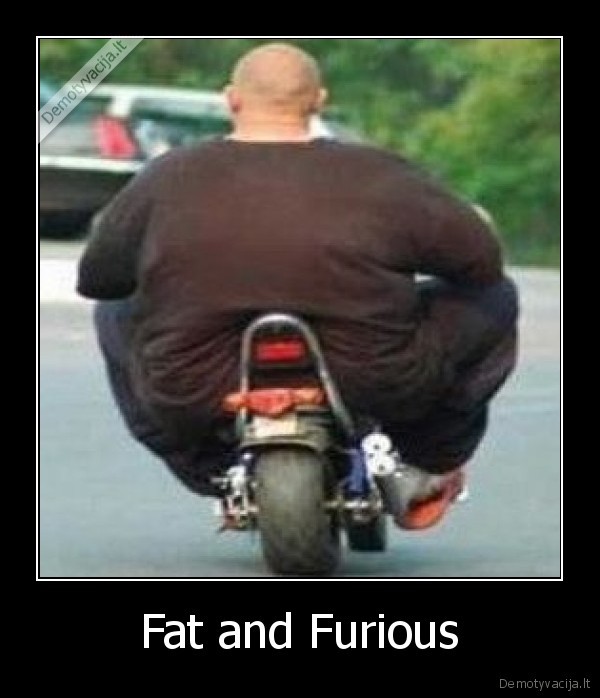 Fat and Furious - 