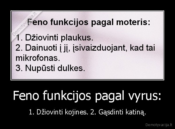 Feno funkcijos pagal vyrus: - 1. Džiovinti kojines. 2. Gąsdinti katiną.