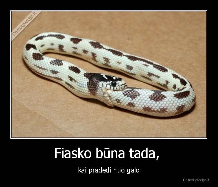 Fiasko būna tada,  - kai pradedi nuo galo