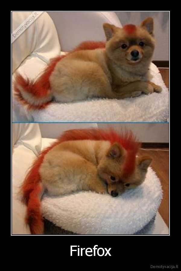 Firefox - 