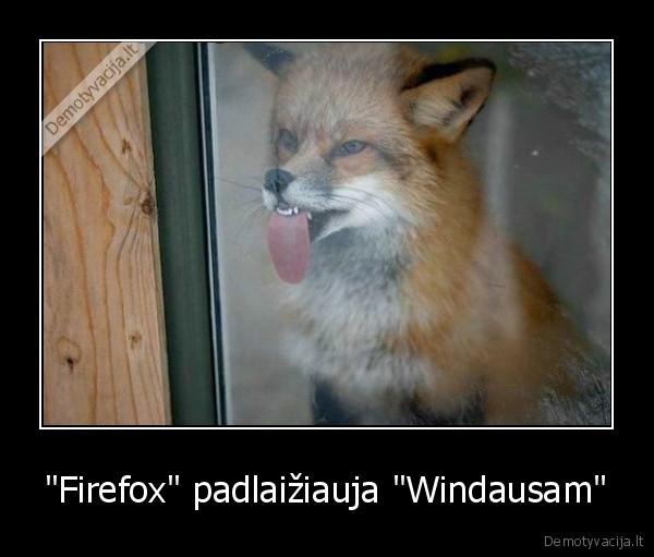 "Firefox" padlaižiauja "Windausam" - 