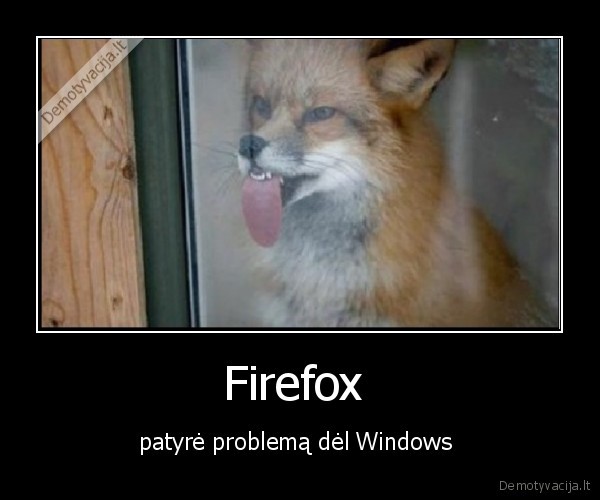 Firefox  - patyrė problemą dėl Windows 